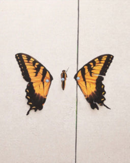 Paramore – Brand New Eyes – New LP