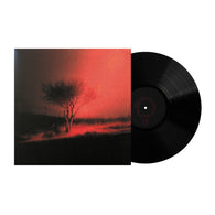 Joji – Piss In The Wind (Prism Color Vinyl/Fold Out Poster) – New LP