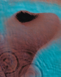 Pink Floyd – Meddle (180g/Gatefold/2016 Version) – New LP