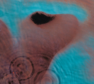 Pink Floyd – Meddle (180g/Gatefold/2016 Version) – New LP