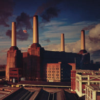 Pink Floyd – Animals (180g) (2016 Version) – New LP