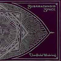Subarachnoid Space – Char-Broiled Wonderland (7") – Used LP