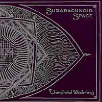 Subarachnoid Space – Char-Broiled Wonderland (7") – Used LP