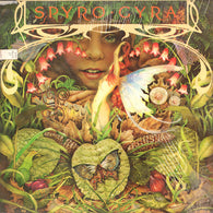 Spyro Gyra – Morning Dance – Used LP