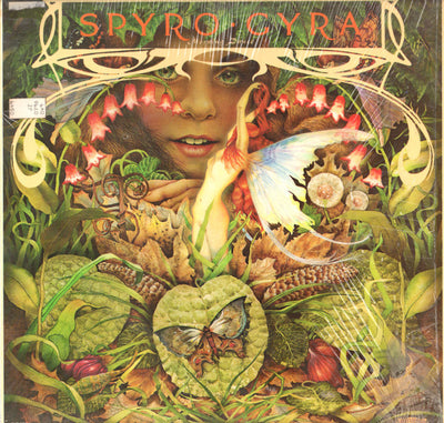 Spyro Gyra – Morning Dance – Used LP