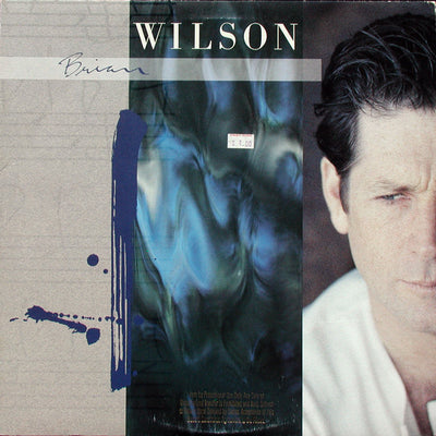 Brian Wilson – Brian Wilson - Used LP