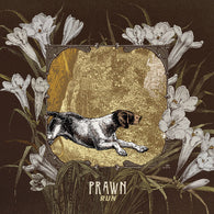 Prawn – Run – Used LP