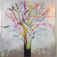 Rosetta – A Determinism Of Morality – Used LP