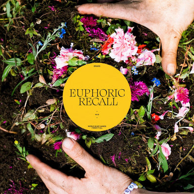Braids – Euphoric Recall – Used LP