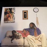 Aminé – 13 Months Of Sunshine – Used LP