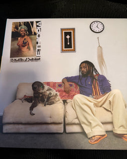 Aminé – 13 Months Of Sunshine – Used LP
