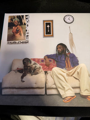 Aminé – 13 Months Of Sunshine – Used LP