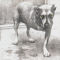 Alice In Chains – 3 Legged Dog (Alice In Chains) - Limited Deluxe Green Vinyl Edition And Poster - New IMPORT – New LP