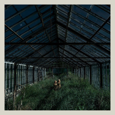 Foxing – Dealer – Used LP