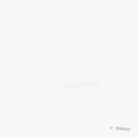 The Beatles – The Beatles (Mon Remaster) – Used LP