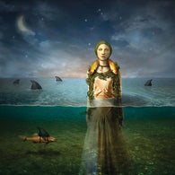 The Bled – Found In The Flood – Used LP
