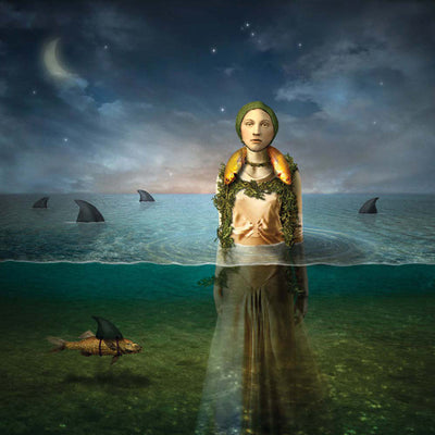 The Bled – Found In The Flood – Used LP