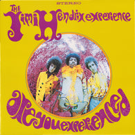 The Jimi Hendrix Experience – Are You Experienced – Used LP