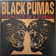 Black Pumas – Chronicles Of A Diamond – Used LP