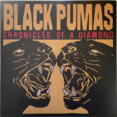 Black Pumas – Chronicles Of A Diamond – Used LP