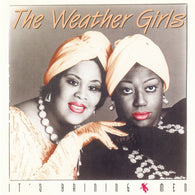 The Weather Girls – It's Raining Men – Used LP
