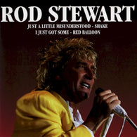 Rod Stewart – Rod Stewart – Used LP