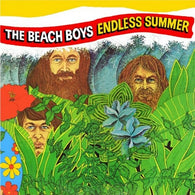 The Beach Boys – Endless Summer – Used LP